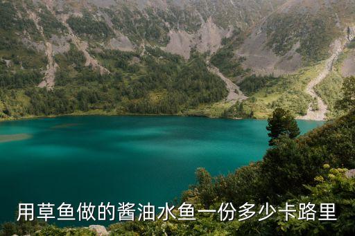用草魚做的醬油水魚一份多少卡路里