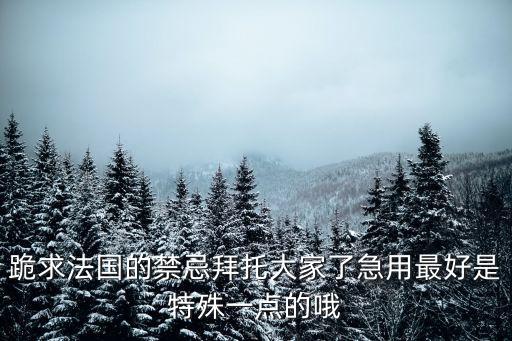 跪求法國(guó)的禁忌拜托大家了急用最好是特殊一點(diǎn)的哦