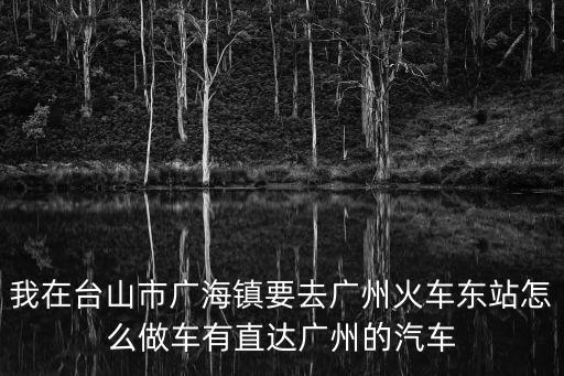 廣海車站到廣州車站，下午四點(diǎn)以后從廣海怎樣坐車回廣州