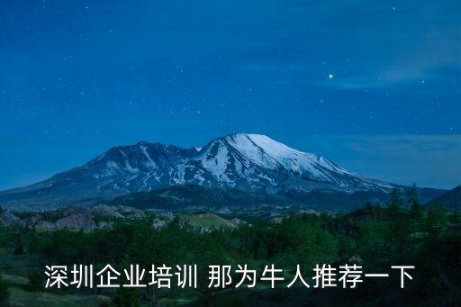 廣州眾心有限公司簡介，深圳企業培訓 那為牛人推薦一下