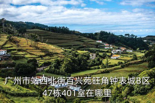 廣州站西路旺角鐘表城坐什么車，廣州市站西北街百興苑旺角鐘表城B區47棟401室在哪里