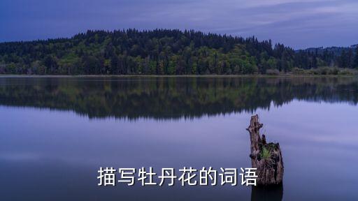 形容牡丹花的詞語，描寫牡丹花的詞語有哪些