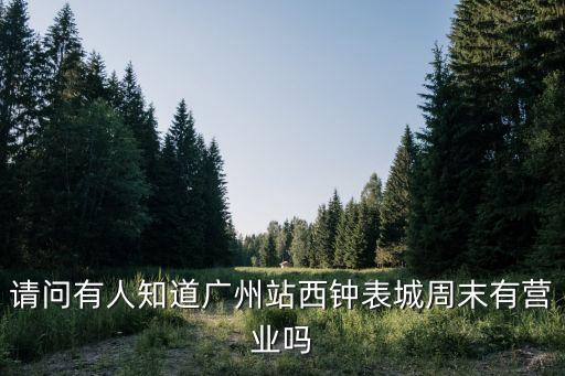 廣州站西路鐘表批發(fā)市場(chǎng)營(yíng)業(yè)時(shí)間，站西鐘表城幾點(diǎn)營(yíng)業(yè)
