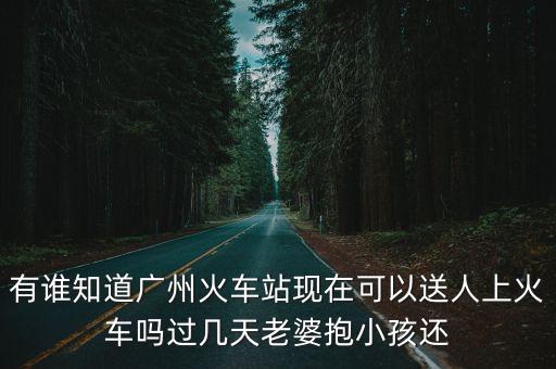 有誰知道廣州火車站現在可以送人上火車嗎過幾天老婆抱小孩還