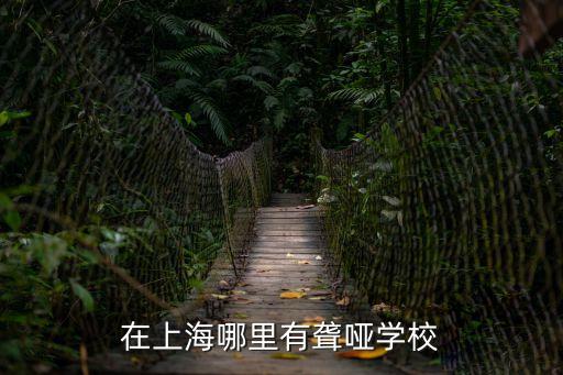 上海市第二聾校，在上海哪里有聾啞學校