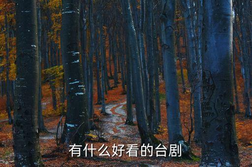 好看的臺劇，有什么好看的臺劇