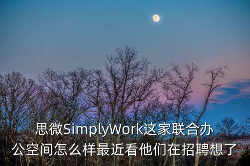 廣州思微廣告有限公司怎么樣，廣州思埠微營銷團隊怎么樣