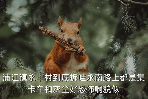 浦江鎮永豐村到底拆哇永南路上都是集卡車和灰塵好恐怖啊貌似