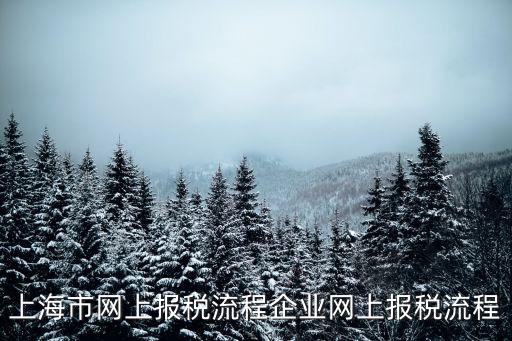 上海市報稅流程，報稅記賬流程上海