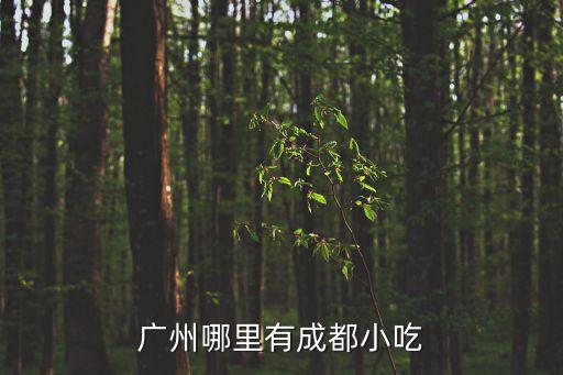 廣州地道成都小吃，廣州哪里有成都小吃