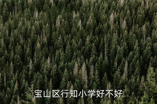 上海市行知好國(guó)語(yǔ)學(xué)校小學(xué)，寶山區(qū)行知小學(xué)好不好