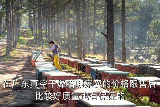 廣州電熱干燥箱訂做，數顯鼓風干燥箱在國內哪個品牌的質量比較好在廣東哪里有賣的