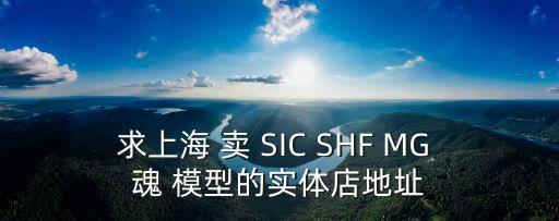 求上海 賣 SIC SHF MG 魂 模型的實(shí)體店地址