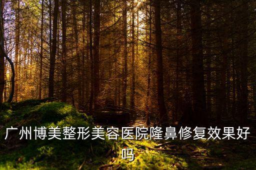 廣州隆鼻 博美專業，廣州博美整形美容醫院隆鼻修復效果好嗎