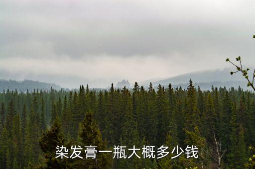 染發膏一瓶大概多少錢
