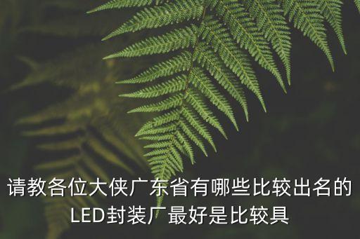 請教各位大俠廣東省有哪些比較出名的LED封裝廠最好是比較具