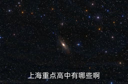 上海重點高中有哪些啊