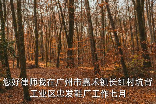 您好律師我在廣州市嘉禾鎮長紅村坑背工業區忠發鞋廠工作七月