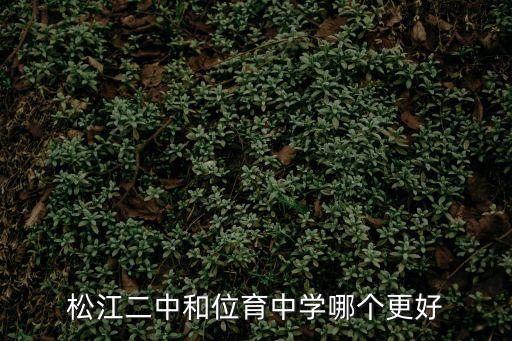 上海市二中學和位育哪個好，松江二中和位育中學哪個更好