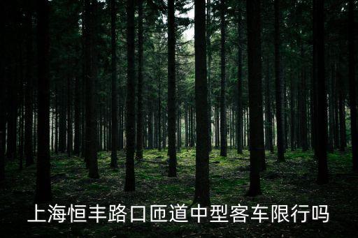 上海恒豐路口匝道中型客車限行嗎
