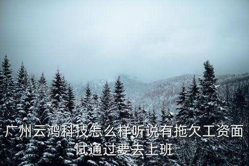 廣州云鴻科技怎么樣聽說有拖欠工資面試通過要去上班