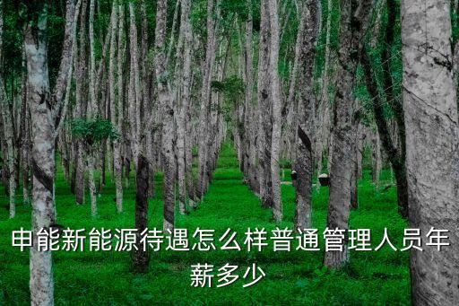 申能新能源待遇怎么樣普通管理人員年薪多少