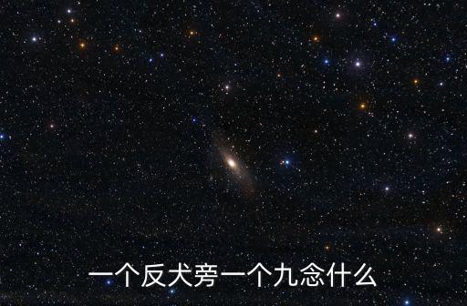 反犬旁一個九，一個反犬旁一個九念什么