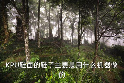 廣州kpu鞋面模具定制，訂做小型塑料盒