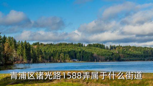 青浦區諸光路1588弄屬于什么街道
