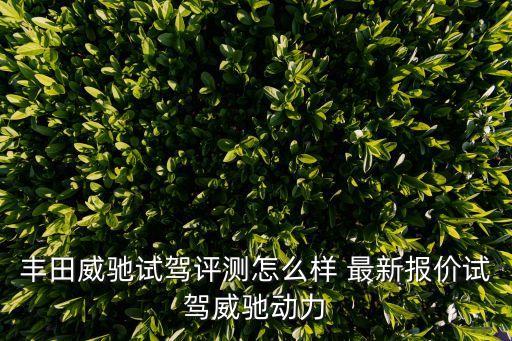 豐田威馳試駕評測怎么樣 最新報價試駕威馳動力