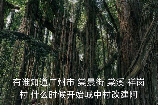 有誰知道廣州市 棠景街 棠溪 祥崗村 什么時候開始城中村改建阿