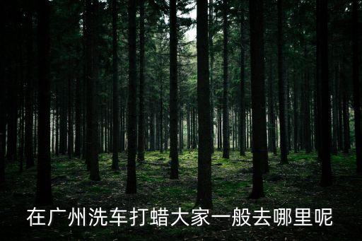 在廣州洗車打蠟大家一般去哪里呢