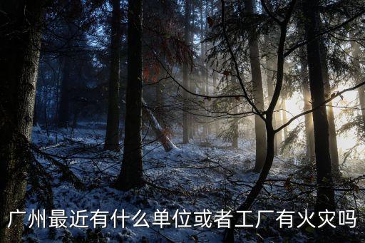 廣州廠房著火公司，是不是前天晚上廣州花都眾科公司發生火災