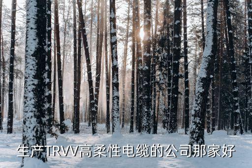 上海市金華聯電線電 有限公司，生產TRVV高柔性電纜的公司那家好