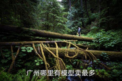 廣州哪里有模型賣最多
