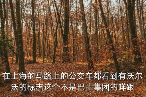 在上海的馬路上的公交車都看到有沃爾沃的標志這個不是巴士集團的咩跟