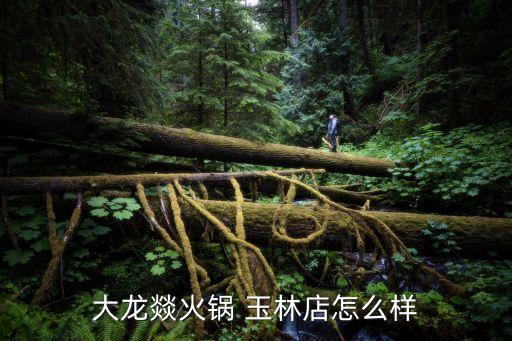 大龍焱火鍋，大龍燚火鍋 玉林店怎么樣