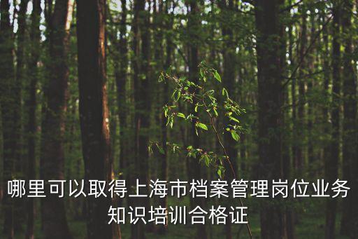 哪里可以取得上海市檔案管理崗位業務知識培訓合格證