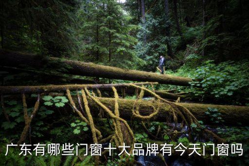 廣州從化有哪些門窗是一線品牌的，廣東有哪些比較出名的鋁合金門窗品牌