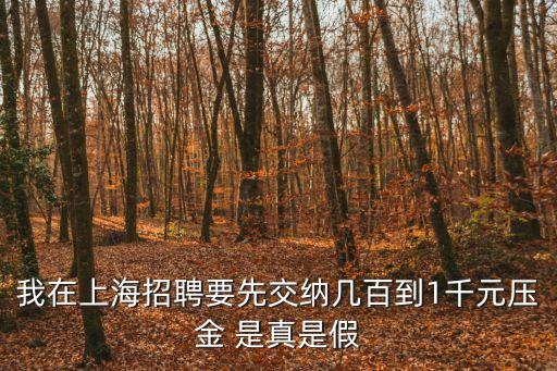 上海市勞動(dòng)局勞務(wù)派遣工招聘，上海 勞務(wù)派遣