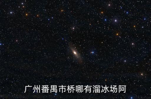 廣州番禺市橋哪有溜冰場阿