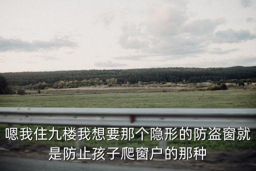 嗯我住九樓我想要那個隱形的防盜窗就是防止孩子爬窗戶的那種