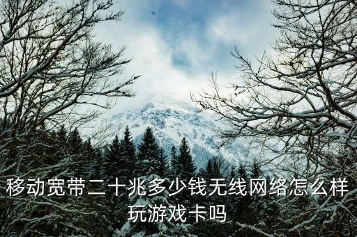 廣州越秀區移動寬帶20，中國移動寬帶20w是什么意思