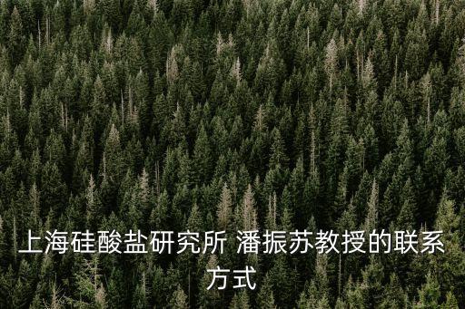 上海硅酸鹽研究所 潘振蘇教授的聯系方式