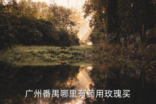 廣州番禺哪里有藥用玫瑰買