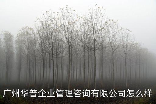 廣州華普企業管理咨詢有限公司怎么樣