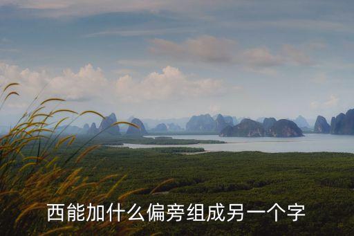 西能加什么偏旁組成另一個字
