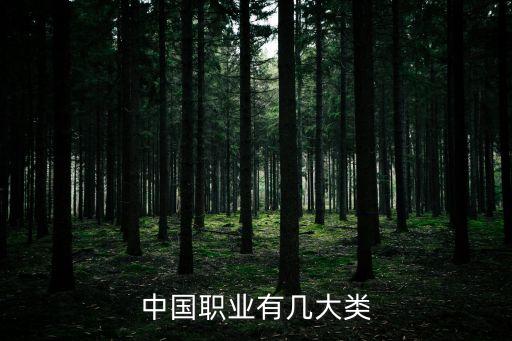 中國(guó)職業(yè)有幾大類