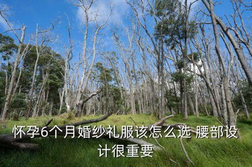 懷孕6個月婚紗禮服該怎么選 腰部設計很重要