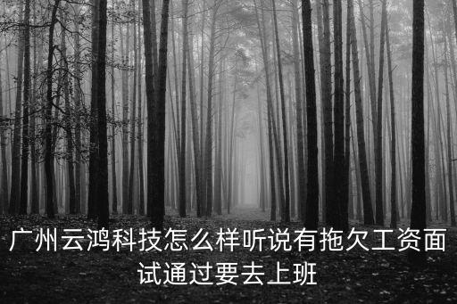 廣州云閱科技有限公司好嗎，廣州云握科技有限公司怎么樣